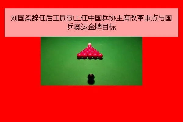 liu-guo-liang-ci-ren-hou-wang-li-qin-shang-ren-zhong-guo-ping-xie-zhu-xi-gai-ge-zhong-dian-yu-guo-ping-ao-yun-jin-pai-2-185.jpg