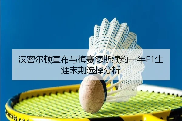 han-mi-er-dun-xuan-bu-yu-mei-sai-de-si-xu-yue-yi-nian-sheng-ya-mo-qi-xuan-ze-fen-xi-3-474.jpg